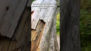Why People Gatekeep: Practice Leave No Trace! #Hiking #oregon