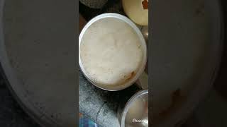 ostrich egg