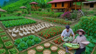 4 Years Off-Grid From Bare Land to Profitable Farm Life & Market Sales!