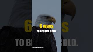 6 Ways to Become Cold & Unshakable #shorts #motivationalshorts
