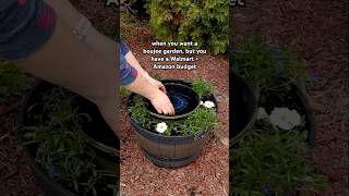 予算を抑えて、贅沢な雰囲気を演出したい？そんな時は、もう迷わずに。#diydecor #gardendecor #budgetfriendlydecor #CozyDIYHome