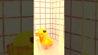showers are too senstive🥵baby duck#memes funny