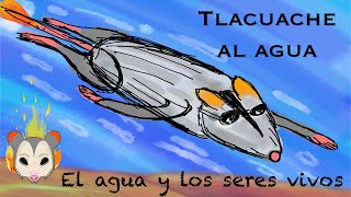 El agua y los seres vivos