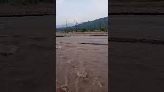 #nature #arjitsingh #song #shorts #foryou #tumhiho #cute #reel