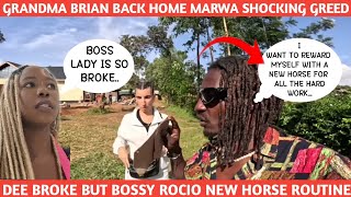 GRANDMA BRIAN BACK HOME MARWA NEW HORSE REWARD BROKE DEE MWANGO NEW FAKE BOSS MOVES ROCIO HAPPY WHY?