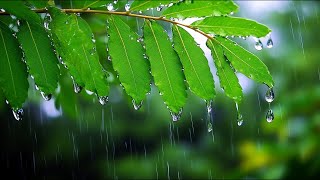 SUEÑO PROFUNDO Música para dormir • Musica de Relajacion - Música Relajante Antiestres y Ansiedad