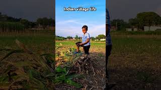 Indian village life #indianvillagelife #village #ruralindia #nature #reels #farming #whatsappstatus