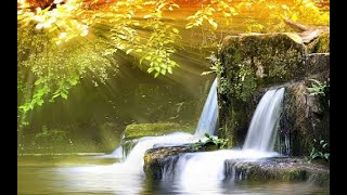 8 Hours of Relaxing Music & Beautiful Nature, Piano Music for Stress Relief, Deep Sleeping Music #16