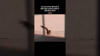 motivational quotes in Hindi #india #mumbai #ujjain #motivation #motivational
