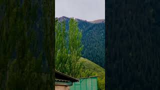 Sound of rain #foryou #rain #sound #video #soundofrain