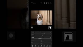 Speed edit in #lightroom
