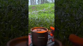 Relaxing Camping in the Rain! Cozy Rain Sounds for Sleeping (ASMR) #campingintherain #shorts