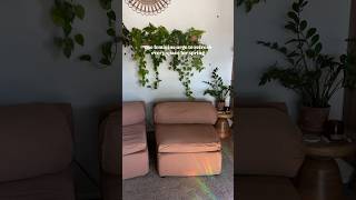 Same same, but different🫶🏼🤪 #livingroomdecor #rearranging #cozyhome #gallerywall #interiorstyling
