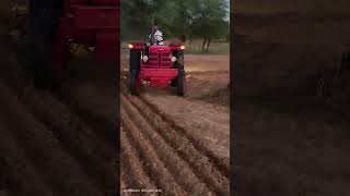 #KisanLife#SarsonKiBhuai#RabiFasal#DesiKisan#IndianFarmer#KhetKiMehnat#GaavKiZindagi#KisanKiPehchan