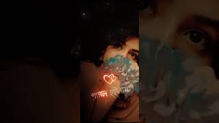 আমি প্রথম দেখে পাগল হইলাম মন তো আর মানে না!