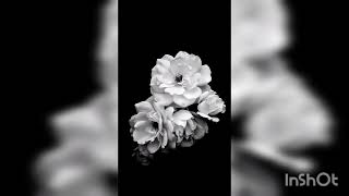 olir o kotha sune bokul hase #youtube #bengaliwhatsappstatus #lyrics #indiansong #bengalistatus #yt