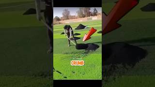 Why Are Football Fields Full of Tire Waste? #football #soccer #short
