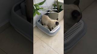 cat litter box #catlink #automaticlitterbox #ailitterbox   #cat #catlitterbox #cathealth #cattips