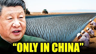 Everybody Laughed At China For Burying Tons Of Plants In Desert... 10 Years Later, They Regretted It