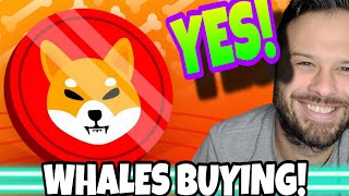 Shiba Inu Coin | SHIB Whales Loading Up As Altcoins Hit Fresh Highs! Token 6900 Only Has Days Left!