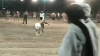 Jas na ya match ni dakha os na Koch b ni dakha