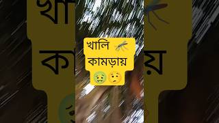 খালি মশা কামড়ায় 🦟🤥🤣