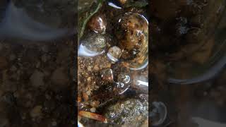 How do glaciers shape landscapes?