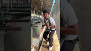 Vermicompost की अतरंगी System🚀🔧 #indianfarmer #shorts