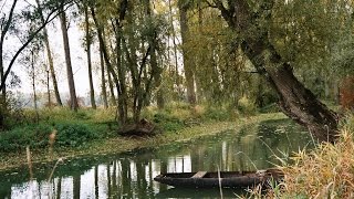Die Pfalz, Fotos Monika & Liviu Craciun, Piano Ioana Maria Lupascu