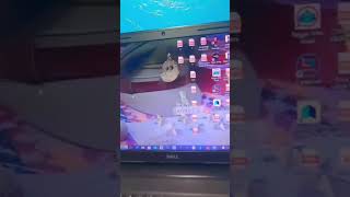 library lover #studymotivation #aspirantstruggle #aspirantlife #librarystudy #studytable #ssc