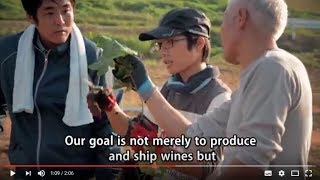 Kitakata Winery Project