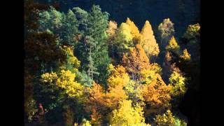 Schubert--Liszt "Ave Maria", piano Ioana Maria Lupascu