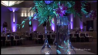 Mittal Wedding