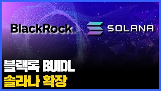 블랙록 BUIDL 솔라나 확장