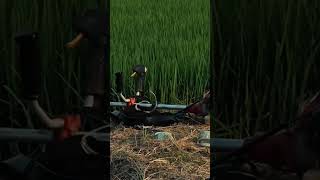 B #travel #nature #history #facts #mountains #travelvlog #world #sunset #asia eautiful Bangladesh