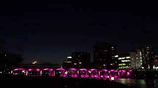 桜城橋付近で夜景を撮影した
