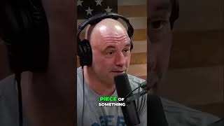 Joe Rogan: Is Trump on Amphetamines  Shocking Insights Revealed