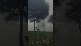 Husn - Anuv Jain || Sad Status #song #sad
