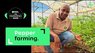 Pepper Farming in South Africa: Farmer's Advice | Season 2 Ep 6