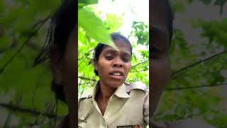 Vanrakshak bharti 2025| forest guard bharti 2025 #vanrakshak #forestguard #वनरक्षक #shorts