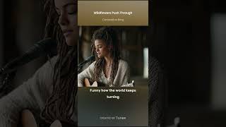 Country Music Fusion -  Wild Flowers #music  #aimusic #countrymusic #newmusic #trendingsong