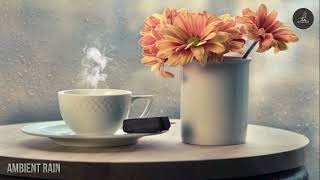 AMBIENT RAIN| Relax with the sound of rain and aroma of a freshly brewed coffee .  #Ambientrain