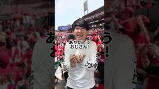 時を超えたホームランボール