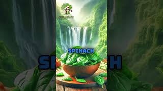 Top 3 Foods for Bodybuilding and Athletes 💚🌏  #healthfacts #healthyeating #healthtips #ytshorts