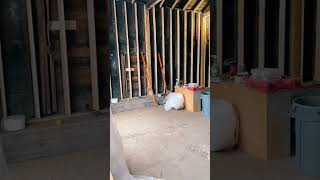 Construction Progress! #beautifulsalvage #brickandmortar #renovation #oldbuildings #trends