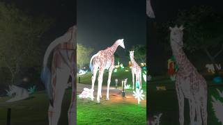 Giraffe 🦒 #creative #creator  #lion #wildlife #viralvideo #viralshorts #viralreels #youtubeshorts