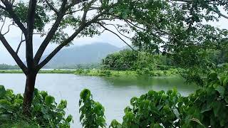 actar anilnedumangad death place#malankra dam sit.subscribe&Shair