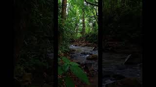 Paz ou solidão #nature