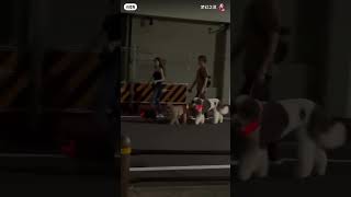 【衝撃】木村拓哉と工藤静香、犬の散歩中に中国人によって盗撮され、夏頃に撮影されたものと推測されるが、今になって中国のSNSに投稿された！ #話題 #smap  #日常  #shorts