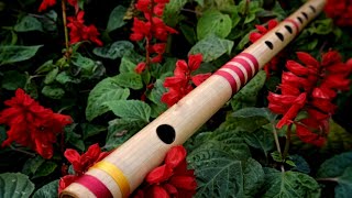 Himalayan Flute Music, Beautiful Flute Music, Padhi Dhun, Flute Music, No Copyright Flute Music